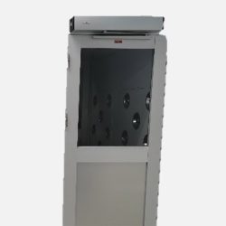 Auto Swing Door