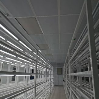 Tissue Culture Lab (9)