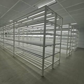 Tissue Culture Lab3 (13)
